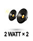 2Wx 2 Speaker