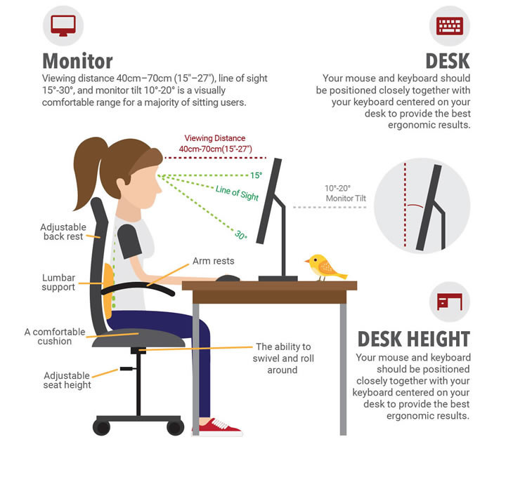 OFFICE ERGONOMICS THE COMPLETE GUIDE - News - Company Information -  ViewSonic
