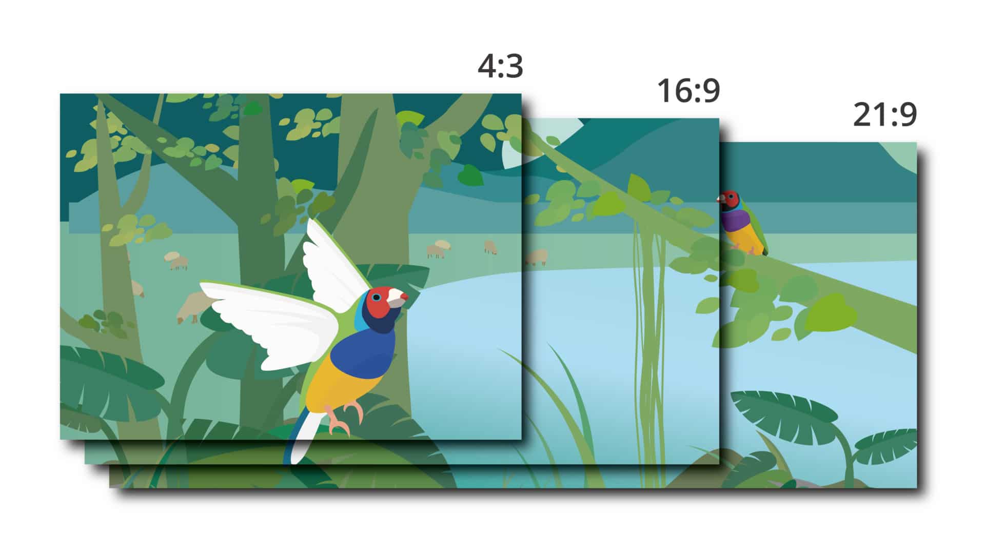 what-is-monitor-resolution-resolutions-and-aspect-ratios-explained