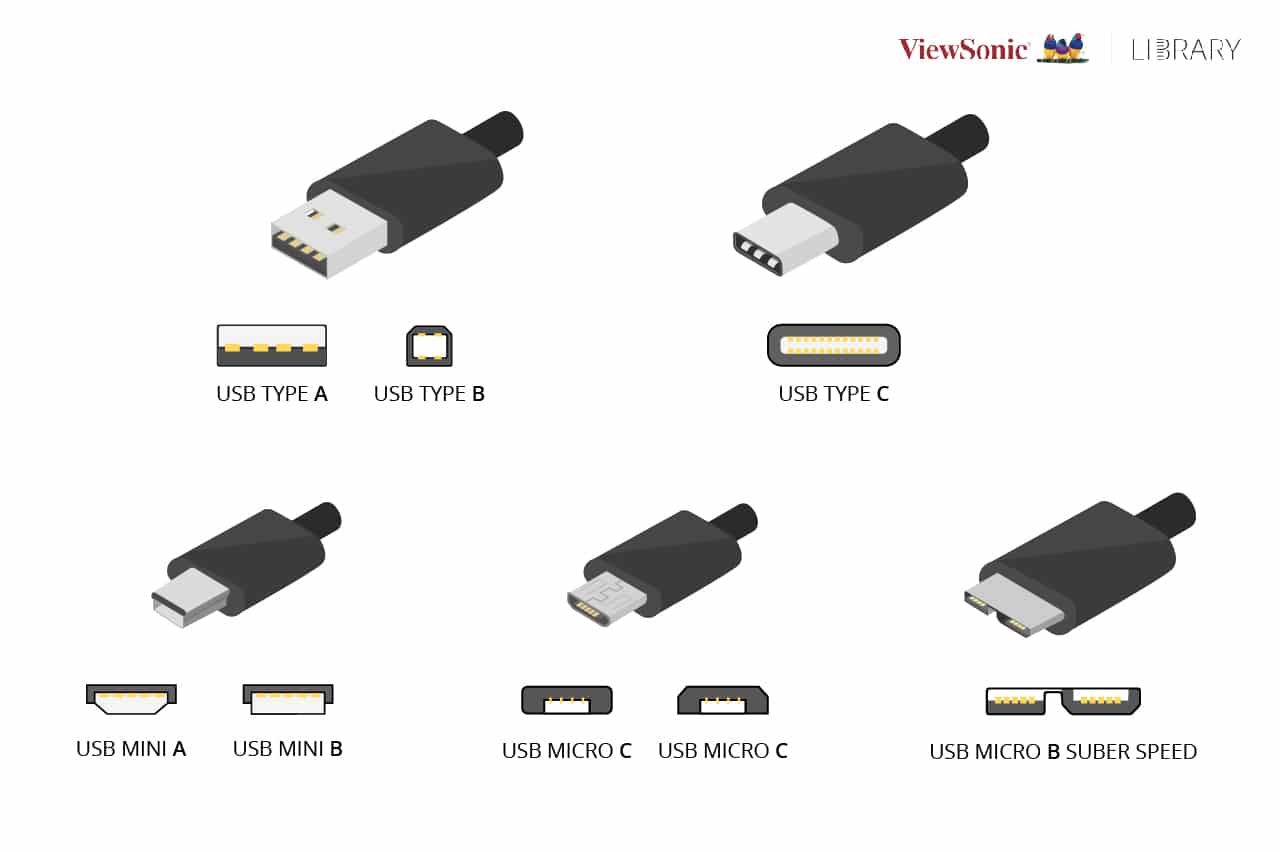 Tablet vacuüm gids USB-C, USB-B, and USB-A: What's the Difference? - ViewSonic Library