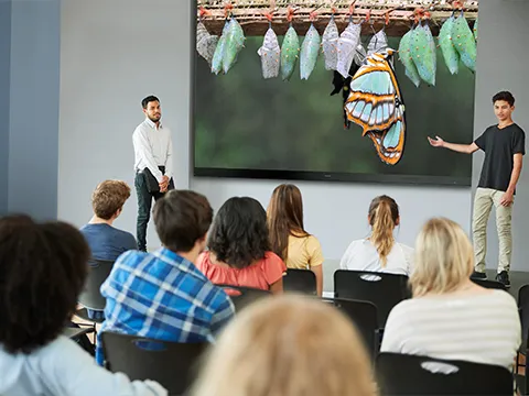 two presenters motion towards a butterfly on a screen in an auditorium