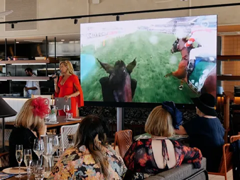 a large display of a horse race in a sports bar