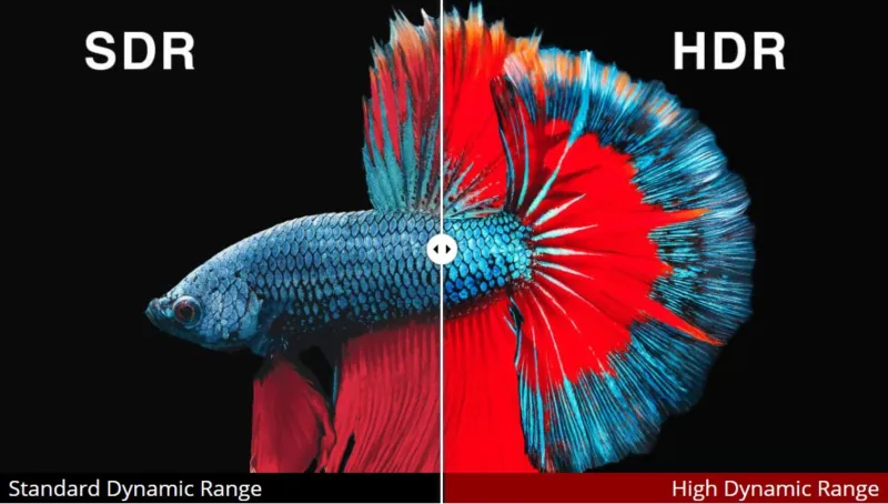 what-is-hdr-high-dynamic-range-hdr-vs-sdr-compared