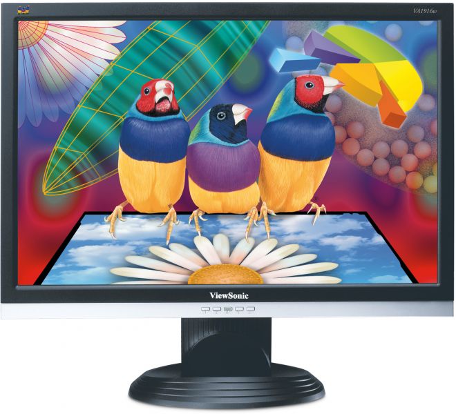 ViewSonic Pantalla LCD VA1916w