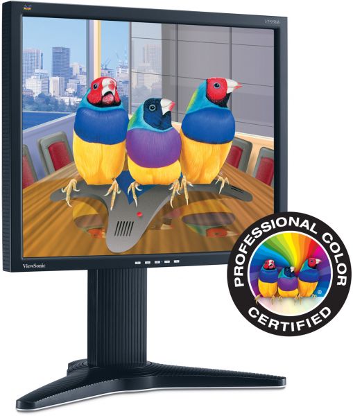 ViewSonic Display LCD VP950b